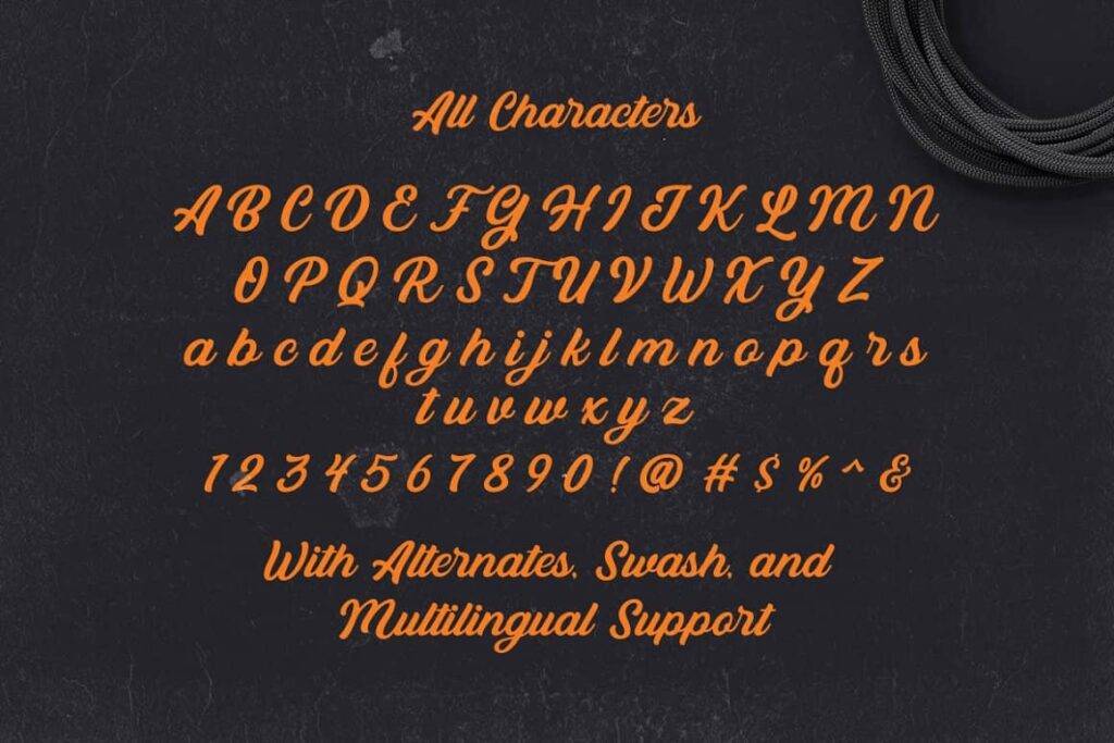 Bandira Script Typeface View
