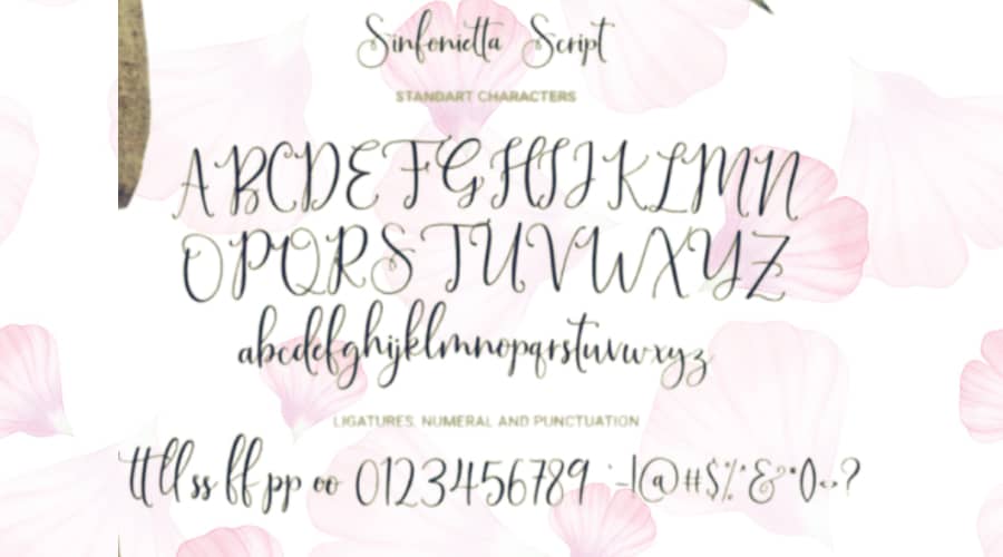 Sinfonietta Handwritten Script Font View