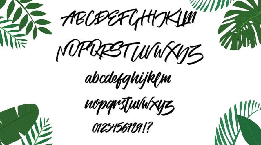Venetian Handstylish Font View