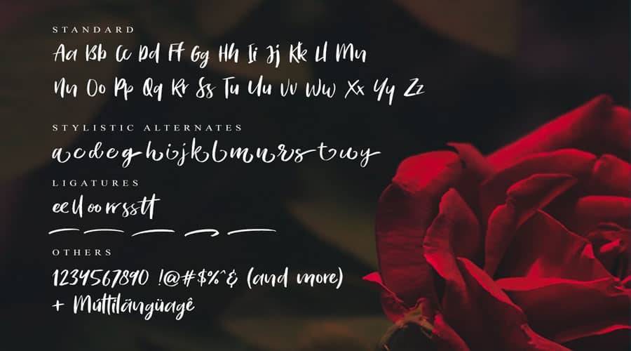 Bitter Rose Brush Font View