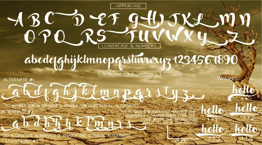 Lost in Wild Font View