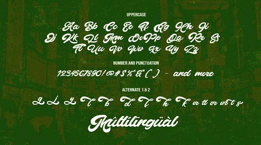 Montages Retro Bold Script Font View