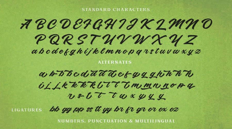 Roland Typeface View