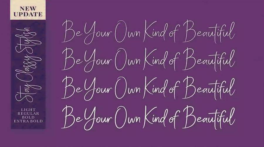 Stay Classy Script Font View