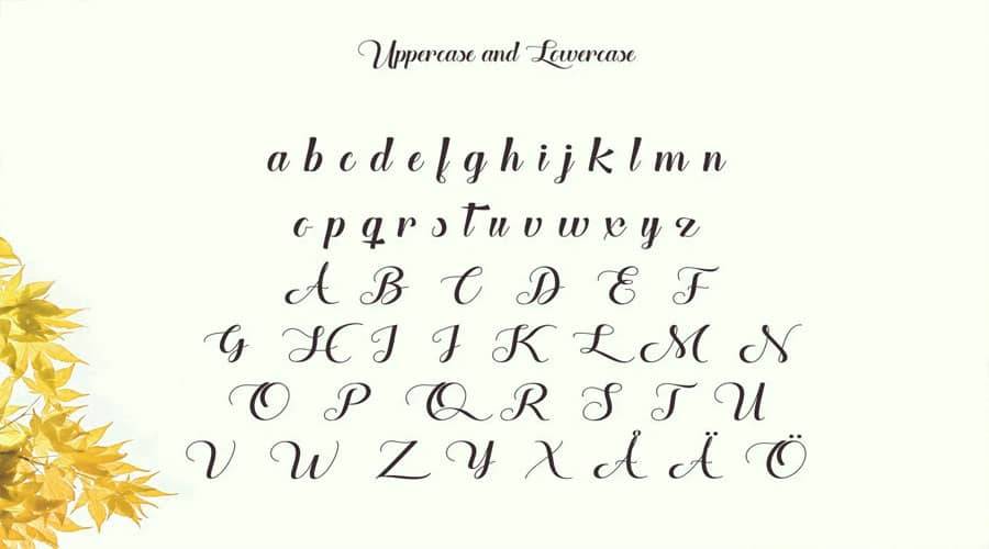 The Heart of Everything Font View