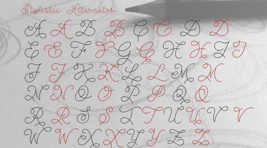 Abigail Script Font View