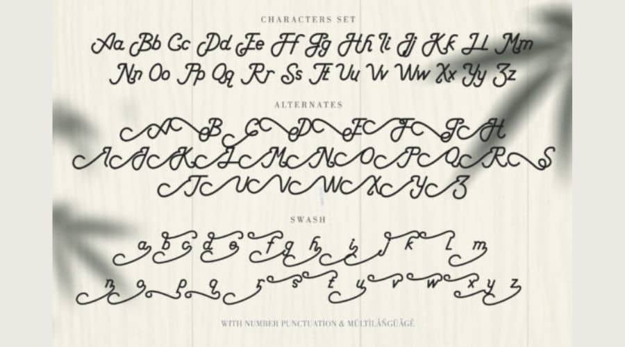 Anderson Silva Font View