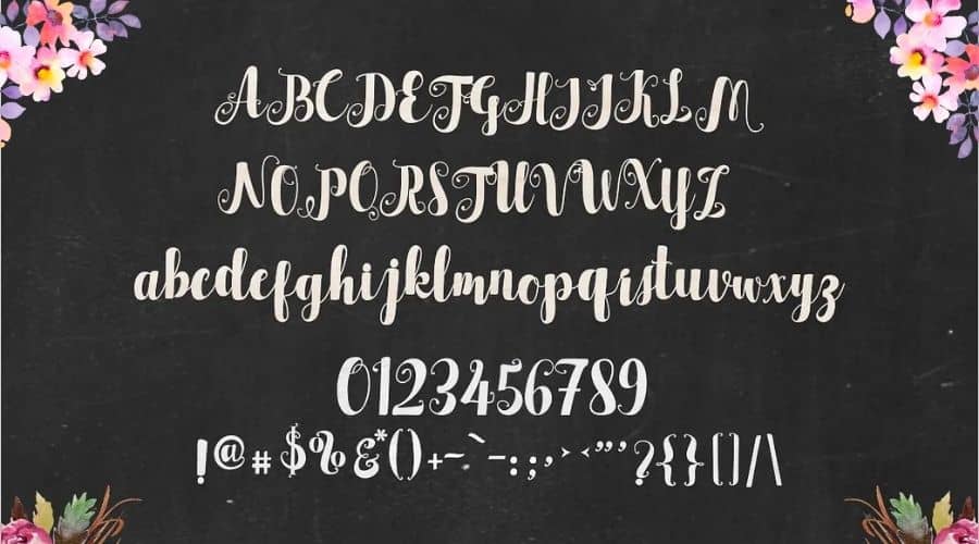 Cattleya Script Font View