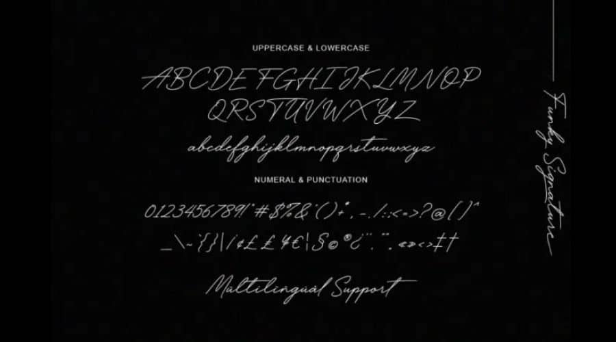 Funky Signature Font View