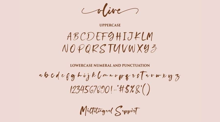Olive Script Font View