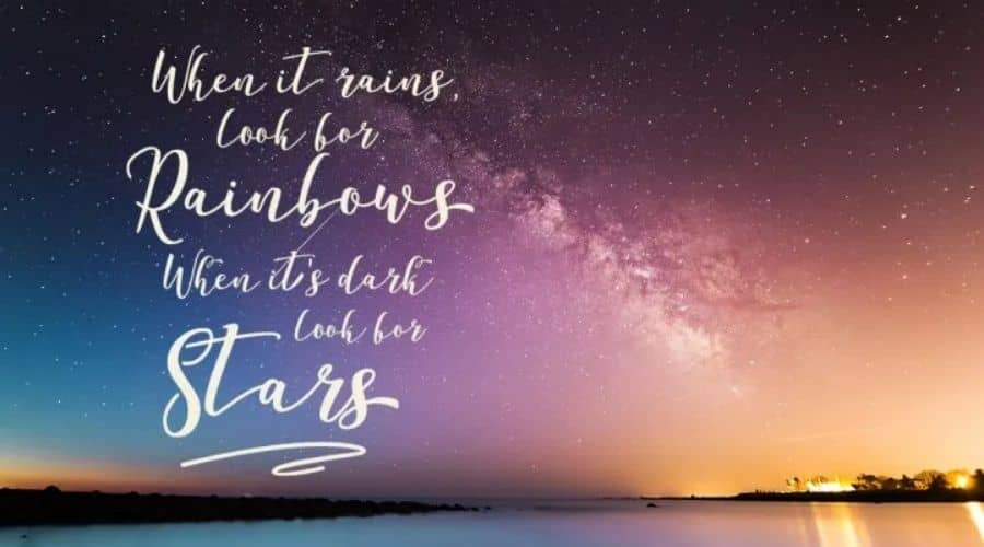 Declara Script Font View