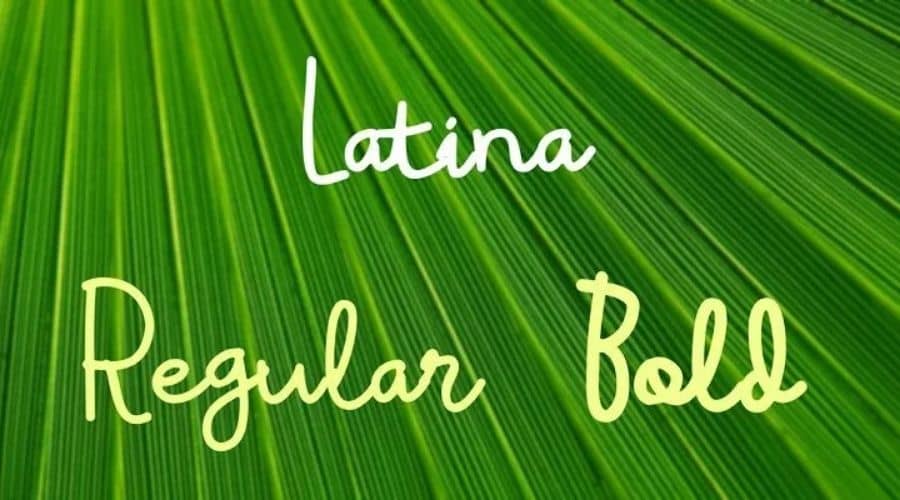 Latina Font Free Download