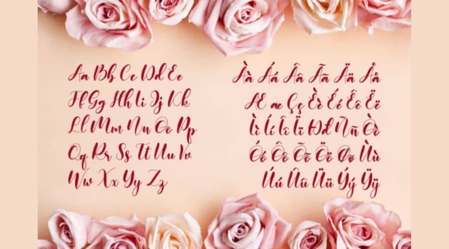 Monieta Dorable Calligraphy Font View