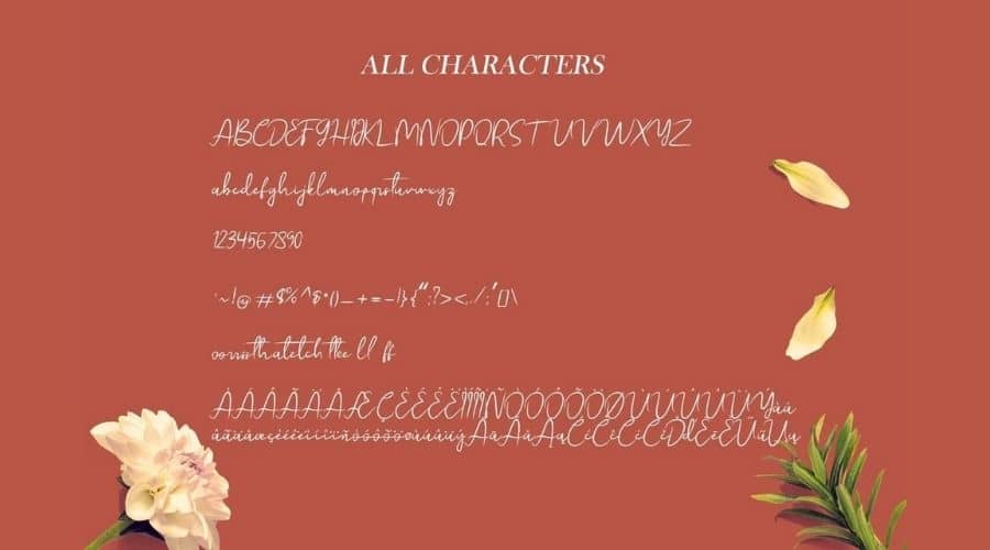 Esmeralda Handwritten Script Font View