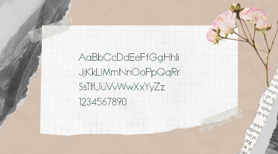 Madeleina Sans Font View