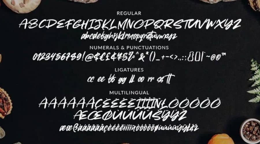 Toothless Brush Font View