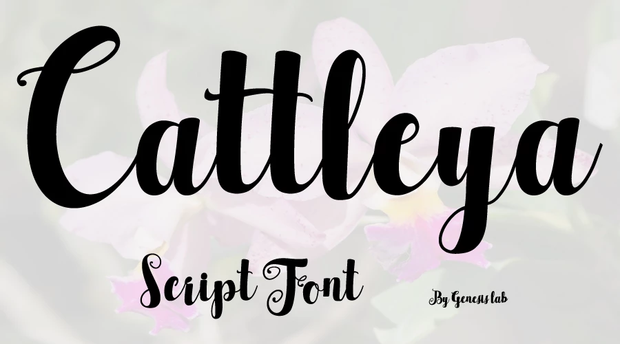 Cattleya-Script-Font-Free-Download