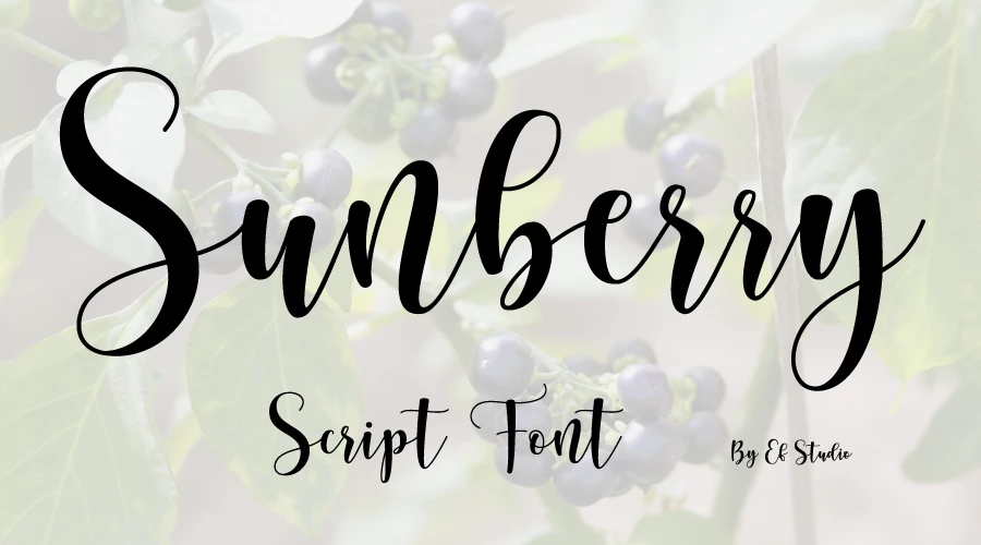 Sunberry-Script-Font-Free-Download
