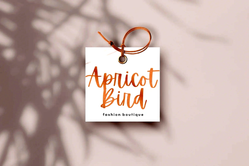 Apricots Handwritten Script Font Visuals 2